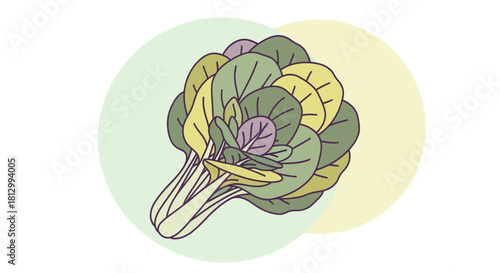 Fresh Watercolor Depiction Of Edible Bok Choy Vegetables Against Black Backdrop