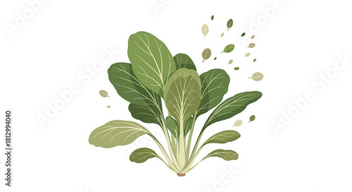 Fresh, Lush Green Vegetable Depicted Against a Black Background for Design