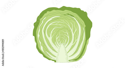 Freshly Cut Cabbage Cross Section With Green Leaves And Black Background