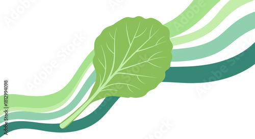 Fresh Lettuce Leaf With Serpentine Elements Against a Dark and Striking Backdrop