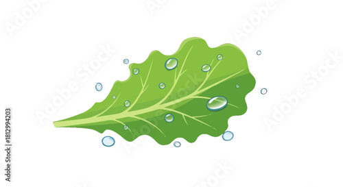 Fresh Lettuce Leaf With Water Droplets On Black Background Perfect For Healthy Food Concepts