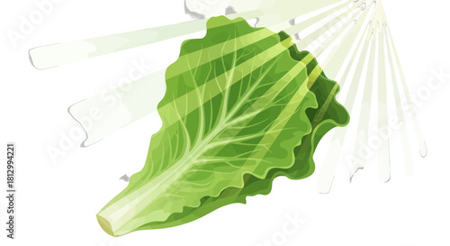 Fresh Lettuce Leaf With Sun Rays Forming Dynamic Visual Elements on a Dark Background