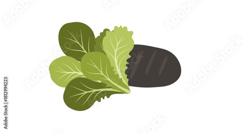 Fresh Lettuce Leaves beside a Loaf of Bread, Simple Illustration on Black Background