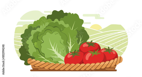 Freshly Harvested Basket Of Tomatoes And Lettuce, With Field Scenic Background