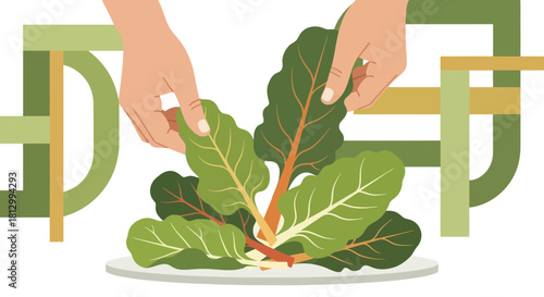 Freshly Harvested Chard Leaves Being Held By Hands on a Minimalist Graphic Background