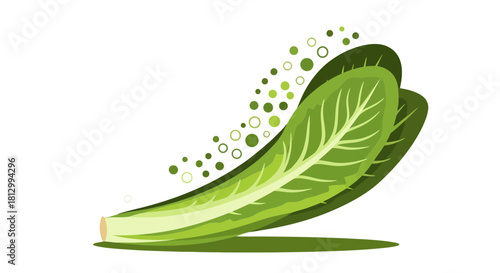 Fresh Lettuce Leaves Illustration with Green and White Bubbles on a Black Background