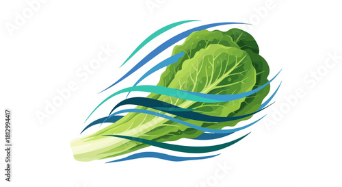 Fresh Lettuce Leaves Surrounded By Swirling Blue And Green Elements On Black Background