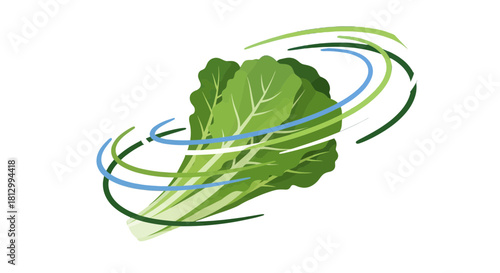 Fresh Lettuce Leaves Surrounded By Rotating Spirals Isolated On Black Background