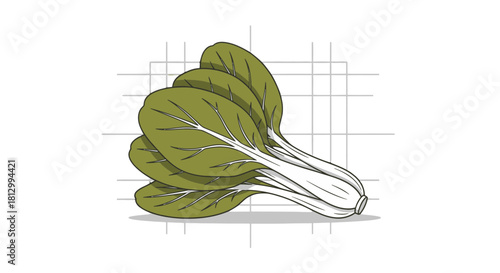 Freshly Illustrated Bok Choy on a Black Backdrop with Geometric Grid Design