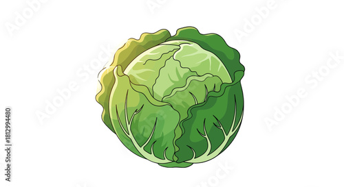 Freshly Picked Cabbage Illustration Against Black Backdrop Suitable For Healthy Cooking