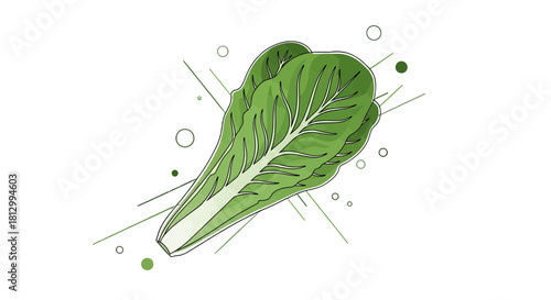 Fresh Lettuce Sprigs With Geometric Illustration Against A Black Backdrop