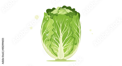 Fresh Napa Cabbage Illustration Against a Dark Environment for Culinary Purposes