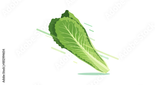 Fresh Lettuce Vegetable Isolated Against Black Background Artistic Illustration Design
