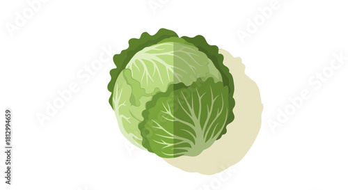 Freshly Picked Cabbage Isolated on Black Background, Representing Healthy Eating