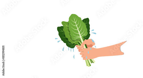 Freshly Washed Green Leafy Vegetables Held By Hand With Water Drops Splashing