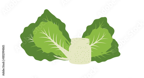 Freshness Of Vegetables: Lettuce and Dressing Jar Arrangement Against Black Background