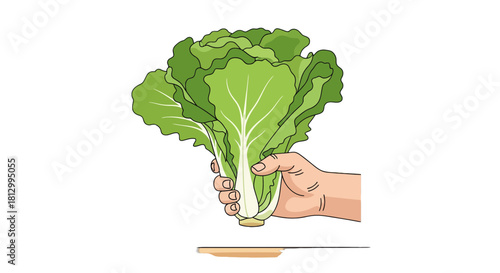 Fresh Produce: Hand Holding Vibrant Green Lettuce Against Black Background