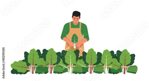 Fresh Produce Harvest: An Illustration Of Sustainable Agriculture And Organic Farming