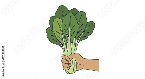 Fresh Produce: Hand Holding A Vibrant Bunch of Spinach Leaves For Nutrition and Wellness