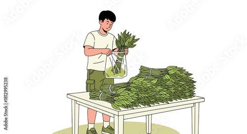 Fresh Produce Vendor Arranging Bundled Greens on Display Table for Sale