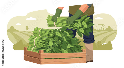 Harvesting Asparagus: Illustrative Depiction of Farmer Loading Green Produce
