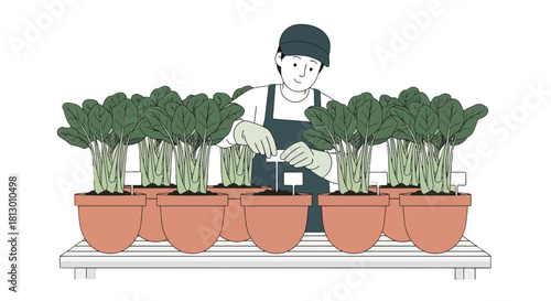 Gardener Caring for Potted Plants, Cultivating Young Greens, and Providing Greenery Love