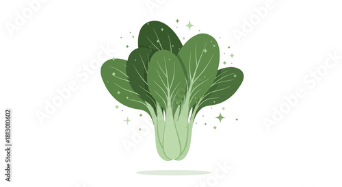 Healthy And Fresh Bok Choy Illustration Displaying Leafy Green Vegetables Against Black Background