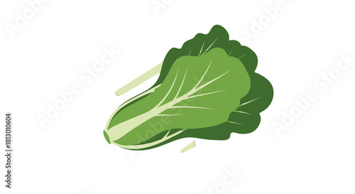 Healthy And Fresh Bok Choy Illustration On A Black Background For Design