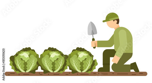Gardener Kneeling Beside Cabbage Plants, Holding Trowel, Isolated on Black Background