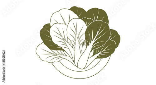 Healthy And Fresh Bok Choy Illustration On A Black Background In Detailed Style