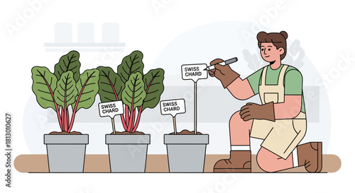 Gardener Labels Freshly Planted Swiss Chard in a Charming Botanical Illustration