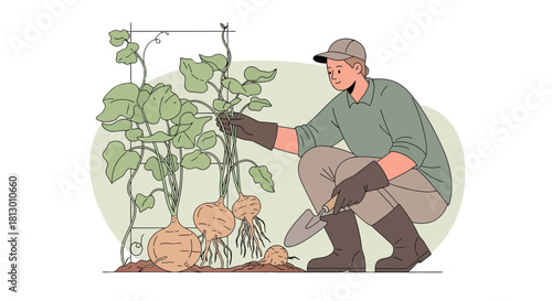 Gardener Nurturing Root Vegetables With Care in a Contemporary, Minimalist Illustration