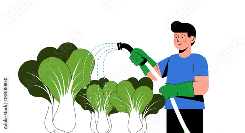 Gardener Watering Vibrant Bok Choy Plants in a Simplified Flat Design Style