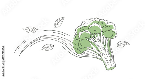 Healthy Broccoli Illustration on Black Background With Flying Leaves And Lines