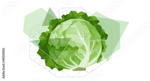 Geometric Cabbage Design on Black Background: A Fresh, Modern Vegetable Illustration