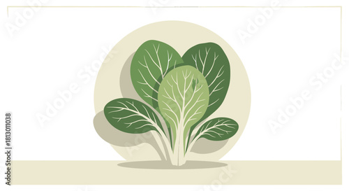 Graphic Illustration of Fresh Green Leaves Displaying Healthy and Natural Vegetable Ingredients