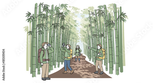 Group Of Hikers Exploring Lush Bamboo Forest, Capturing Moments With Cameras