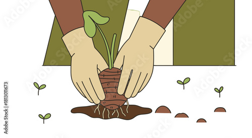 Hands Planting Sapling: Cultivating Growth and Nourishing Earth's Vitality