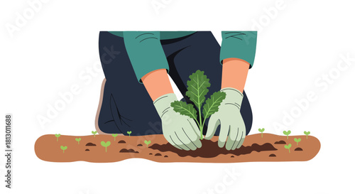 Hands Planting Seedlings And Nurturing Greenery In A Vibrant, Engaging Depiction
