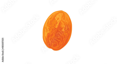 Illustration Of A Ripe Apricot On Black, Abstract Digital Art Fruit Concept Design