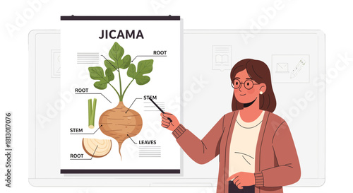 Illustration Of A Teacher Pointing At A Jicama Diagram During A Lesson