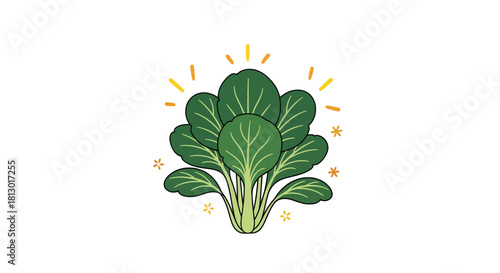 Illustration Of Fresh Green Leafy Vegetables With Yellow Stars and Sunshine On Black Background