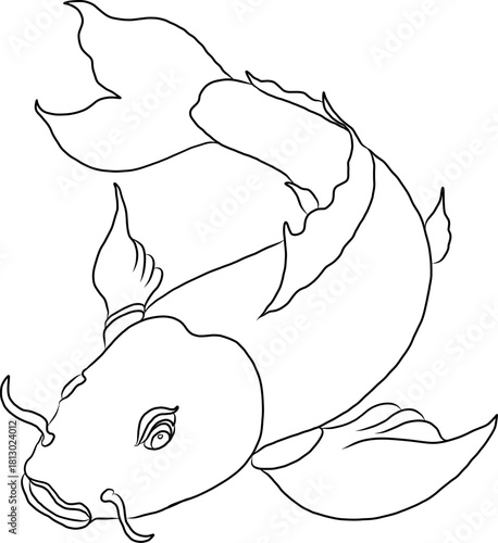koi carp vector isolate for tattoo.Japanese carp drawing.Hand drawn line art of Koi carp. Vector isolated. Idea for tattoo and coloring books.Traditional Japanese culture element for printing on wall.