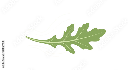 Minimalist Arugula Leaf Illustration with Dynamic White Lines on a Pure Black Background