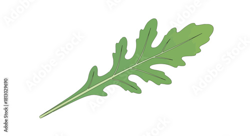 Minimalist Arugula Leaf Illustration Against Black Background for Creative Designs