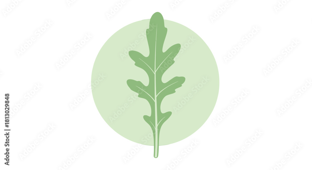 Naklejka premium Minimalist Illustration of Arugula Leaf Represented in Geometric Style with Circular Shape