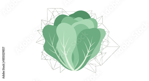 Minimalist Illustration of Green Lettuce With Abstract Geometric Elements On Black Background