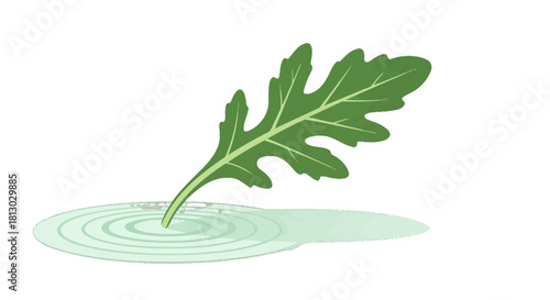 Minimalist Leaf Dipping Into Liquid Design With Ripple Effect On Black Background