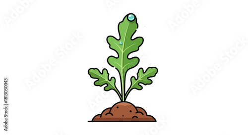 Minimalist Plant Illustration With Water Droplets And A Sparkling Star On The Black Background