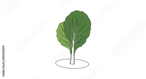 Minimalistic Illustration: Isolated Leafy Tree Against a Dark Black Backdrop
